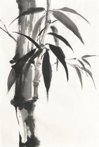 Chris Paschke - Sumi Bamboo