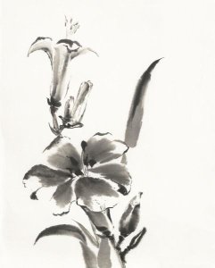 Chris Paschke - Sumi Daylily III