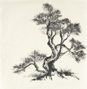 Chris Paschke - Sumi Tree I