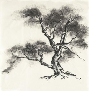 Chris Paschke - Sumi Tree II