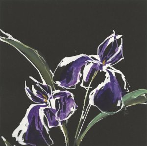 Chris Paschke - Iris on Black I