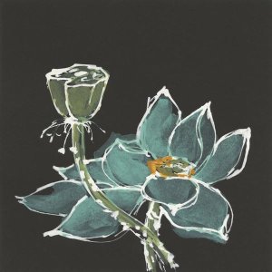 Chris Paschke - Lotus on Black I