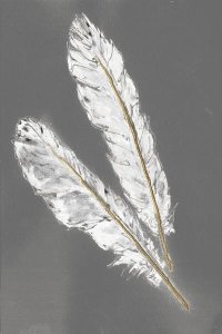 Chris Paschke - Gold Feathers III on Grey