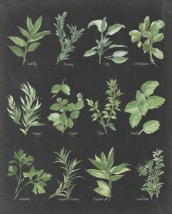 Chris Paschke - Herb Chart on Black