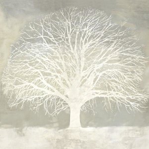 Alessio Aprile - White Oak