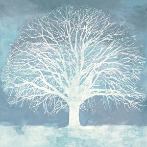 Alessio Aprile - Aqua Oak