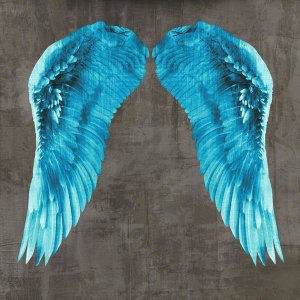 Joannoo - Angel Wings V