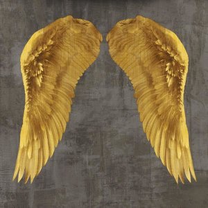 Joannoo - Angel Wings I