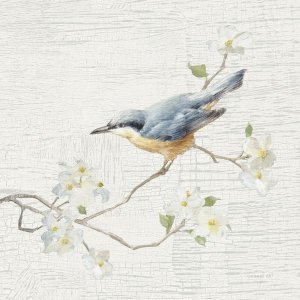 Danhui Nai - Nuthatch Vintage