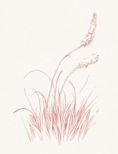 Danhui Nai - Farm Nostalgia Flowers IV
