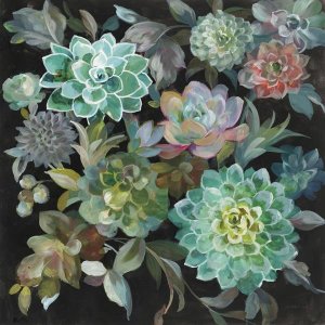 Danhui Nai - Floral Succulents