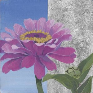 Kathrine Lovell - Zinnia Pink and Silver