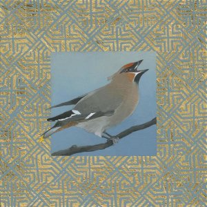 Kathrine Lovell - Cedar Waxwing Border