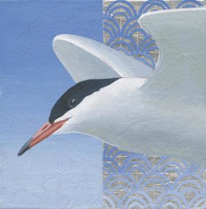 Kathrine Lovell - Common Tern II