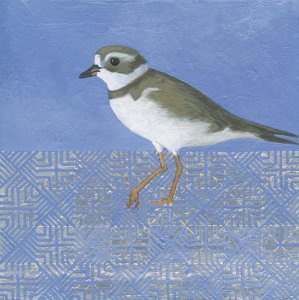 Kathrine Lovell - Plover