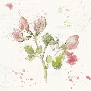 Katie Pertiet - Floral Splash II