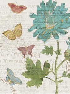 Katie Pertiet - Bookshelf Botanical XII