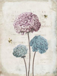 Katie Pertiet - Geranium Study I Pink Flower