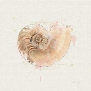 Katie Pertiet - Shell Collector II