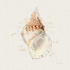 Katie Pertiet - Shell Collector III