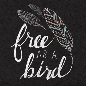 Laura Marshall - Free as a Bird Black