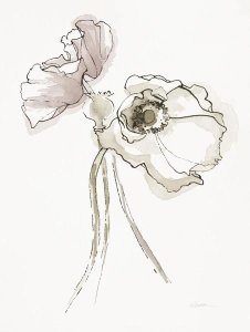 Shirley Novak - Three Somniferums Poppies Neutral II