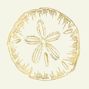 Anne Tavoletti - Coastal Breeze Shell Sketches IV