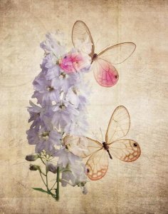 Debra Van Swearingen - Butterfly Botanical I