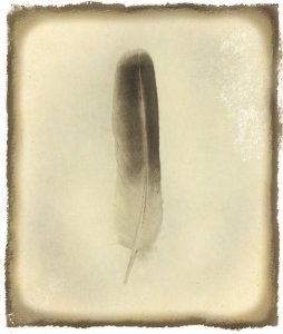 Debra Van Swearingen - Feather II Vintage