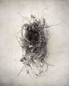 Debra Van Swearingen - Nest II