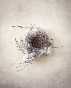 Debra Van Swearingen - Nest III