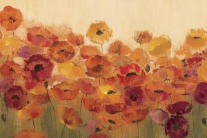 Silvia Vassileva - Summer Poppies