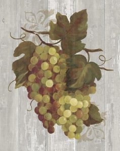 Silvia Vassileva - Autumn Grapes IV on Wood