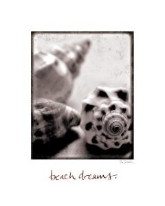 Sue Schlabach - Beach Dreams