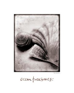 Sue Schlabach - Ocean Treasures