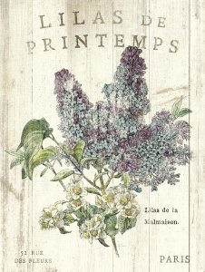 Sue Schlabach - Lilas de Printemps