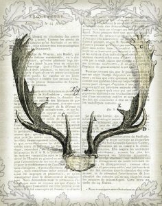 Sue Schlabach - Regal Antlers on Newsprint II