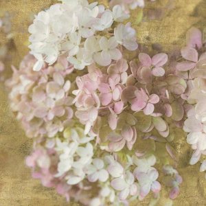 Sue Schlabach - Gilded Hydrangea II