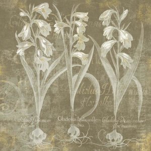 Sue Schlabach - Flower Lines I