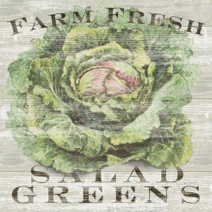 Sue Schlabach - Farm Fresh Greens