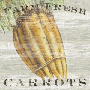 Sue Schlabach - Farm Fresh Carrots