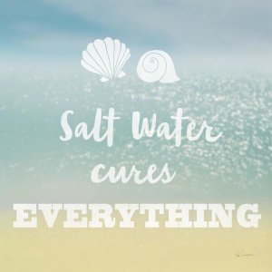 Sue Schlabach - Salt water Cure