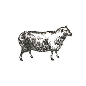 Sue Schlabach - Farm Animal Icons I