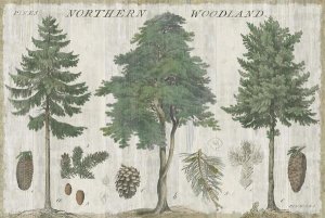 Sue Schlabach - Woodland Chart I