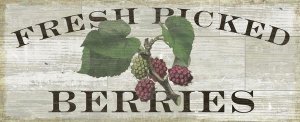 Sue Schlabach - Farm Fresh Raspberries