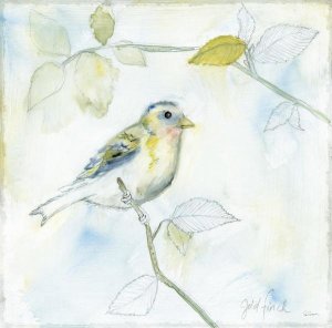 Sue Schlabach - Sketched Songbird I