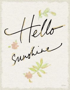 Sue Schlabach - Hello Sunshine