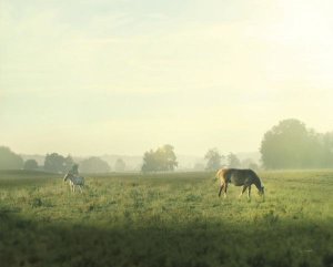 Sue Schlabach - Farm Morning I