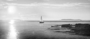 Sue Schlabach - Evening Sail Black and White