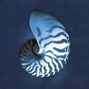 Sue Schlabach - Cyanotype Sea I